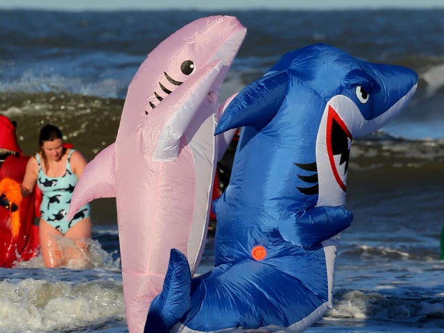 Watch out! There are sharks about!