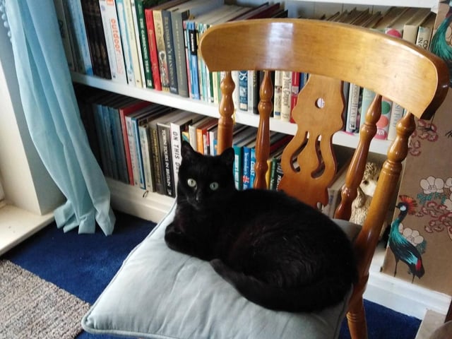 Ruby, by Eileen Pelham.
