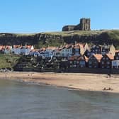 A new Yorkshire Coast Catchment Partnership was set up to bring together expertise to benefit the 320km Yorkshire coastline, including at Whitby (pictured).