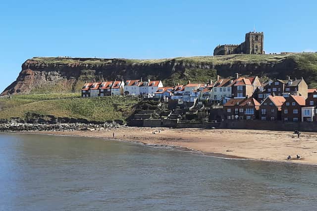 A new Yorkshire Coast Catchment Partnership was set up to bring together expertise to benefit the 320km Yorkshire coastline, including at Whitby (pictured).