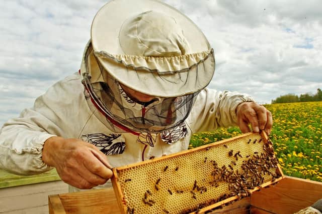 Bee Keeping