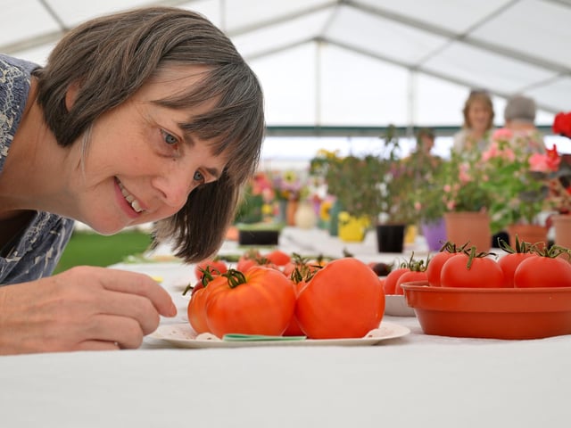 Julia Chatem views the tomatoes.