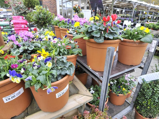 Burniston Nurseries will be open on Friday April 7 (Good Friday) from 9:00am - 5:00pm, on Saturday April 8 from 9:00am - 5:00pm, on Sunday April 9 (Easter Sunday) from 10:00am - 4:00pm and on Monday April 10 (Easter Monday) from 9:00am - 5:00pm.