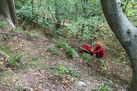 The woman was hauled up a steep bank by the team - Image:SMRT