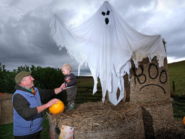 Ghostly goings on in the farmyard