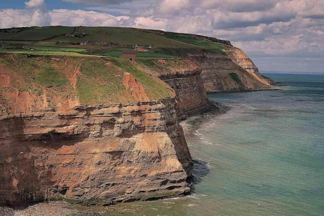 Boulby Cliffs - Image credit: Staithes Coastguard