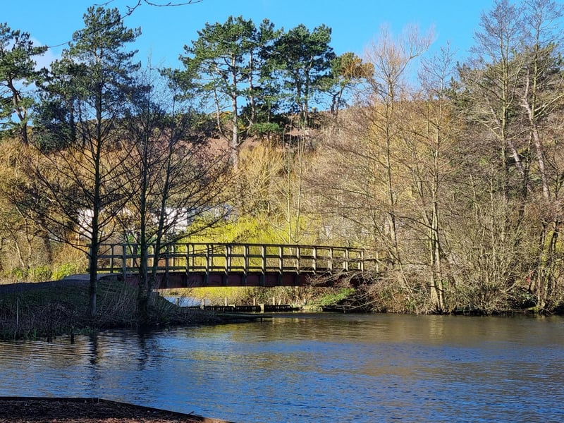The Mere on a beautiful sunny morning.
picture by Jennifer Taylor