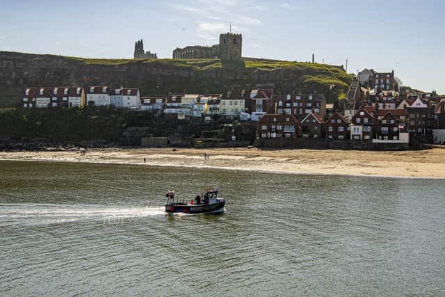 Whitby Town Deal projects came under scrutiny in the latest town poll.