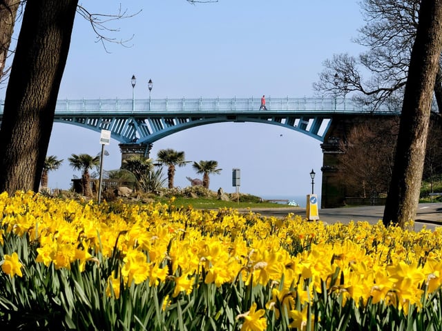 Spring on Scarborough's Valley Road during lockdown.picture: Richard Ponter