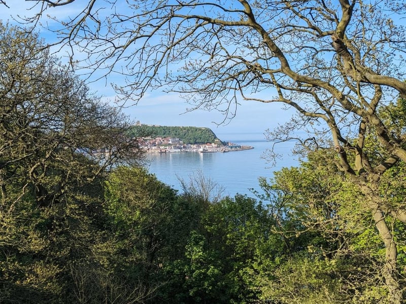 A different view of Scarborough!