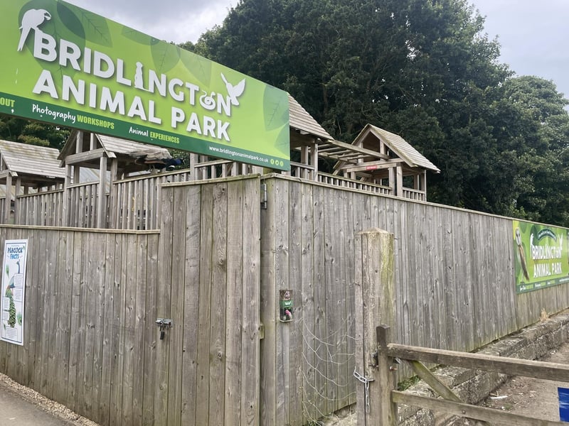 The reception of the Animal Park also houses a gift shop, which is full of memorabilia, cute toys and more.