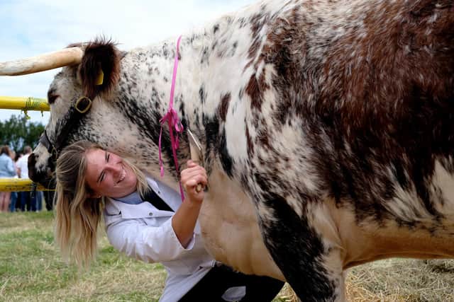 Alisha Lack at Egton Show 2023.