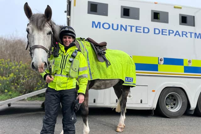 North Yorkshire Police have issued a warning to horse owners after a series of horse-related thefts in Yorkshire.