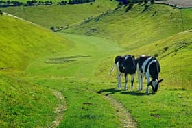During the Spring and Summer months, livestock will be in the fields and ground-nesting birds and other wild animals will be breeding.