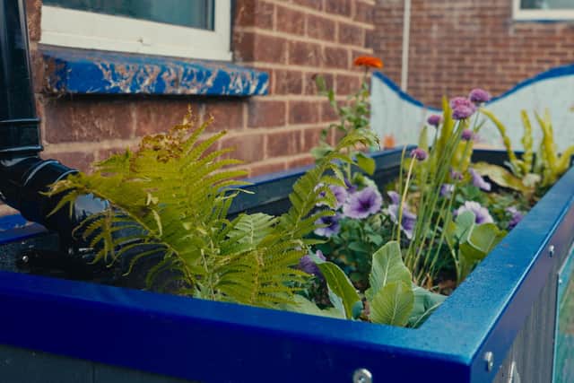 SuDS are nature-based solutions which capture rainwater run-off from buildings