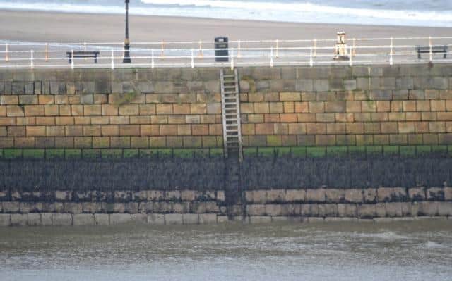 Exiting ladder on Whitby East Pier.