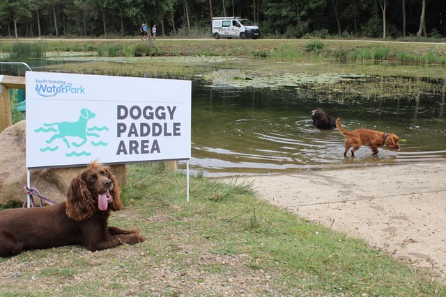 During warmer weather they have a Doggy Paddle Zone for dogs to exercise in style and enjoy a dip in the lake to cool down.