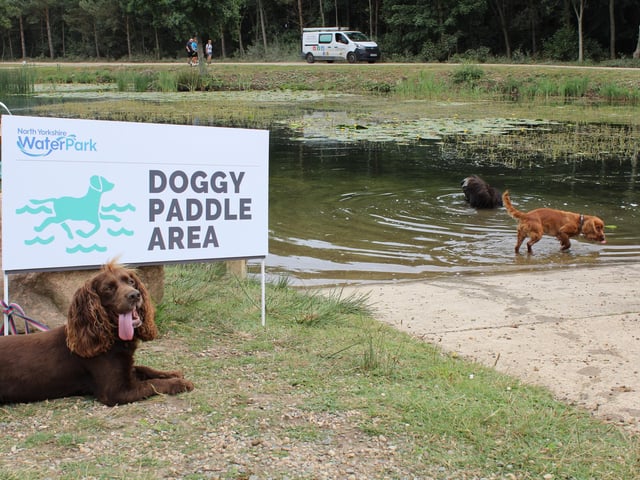 During warmer weather they have a Doggy Paddle Zone for dogs to exercise in style and enjoy a dip in the lake to cool down.