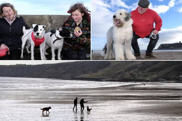 Residents are being encouraged to comment on the rules for walking dogs in the Filey, Scarborough and Whitby area.