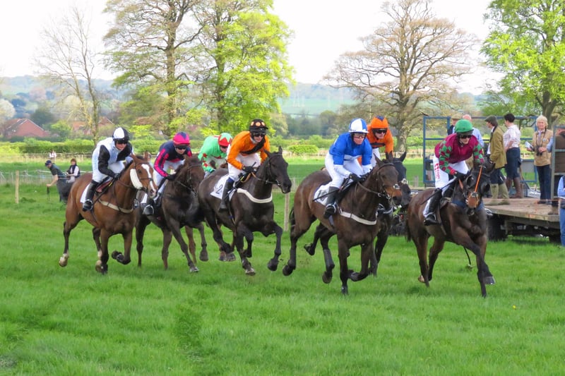 Derwent Hunt point to point at Charm Park, Wykeham.
picture by Tony Freeman.
