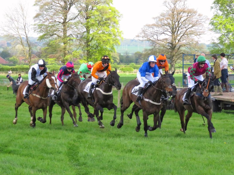 Derwent Hunt point to point at Charm Park, Wykeham.
picture by Tony Freeman.