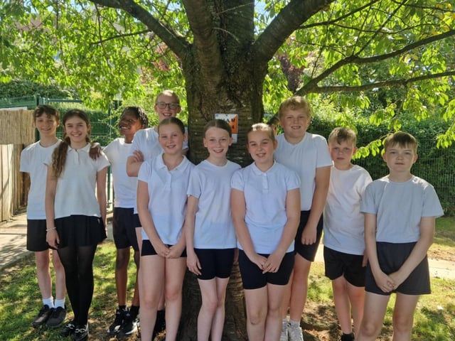 St Joseph's Roman Catholic Primary School cohort.