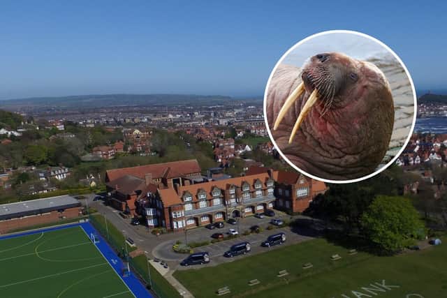 Scarborough College has received 'dozens on enquiries' a councillor has claimed. (Photo: Beverley Senturk and submitted)