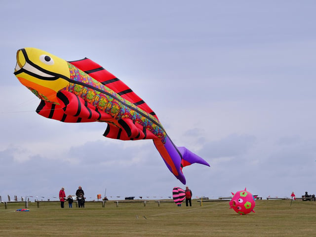 A giant fish fills the sky.