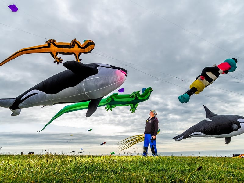 Ernie Williamson, a member of Northern Kite Group, looking up at his handmade flying (Orcas) Killer Whales.