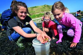 East Yorkshire residents will have the chance to join Yorkshire WIldlife Trust's experienced and expert leaders who can help everyone discover the best of Yorkshire’s wildlife and how to enjoy it. Photo courtesy of Tom Marshall/YWT.