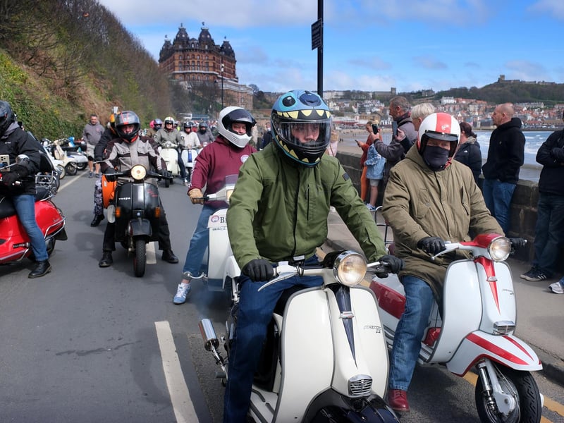 Enjoying the array of scooters