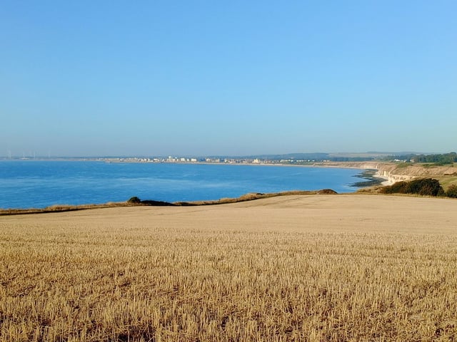 Brid Bay from Flamborough, by Harry Appleby.