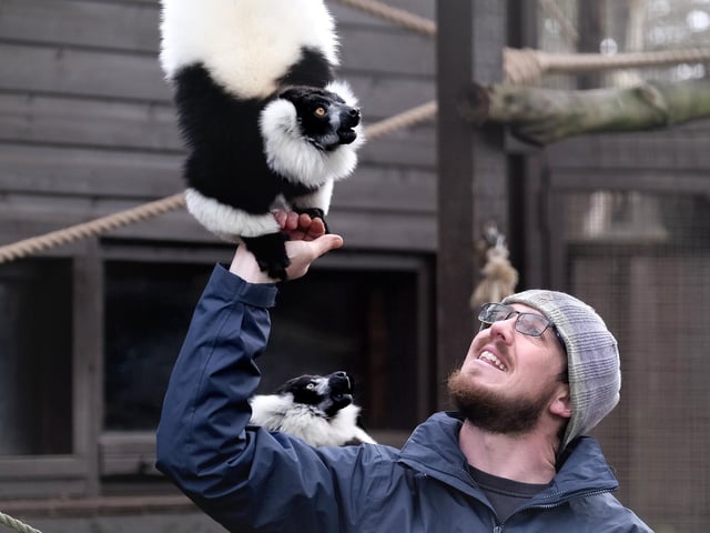 Chris with a Lemur