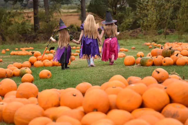 Scarborough is set for a mainly mild Halloween weekend.