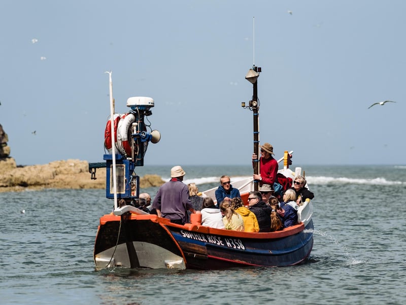 There will be boat trips by traditional fishing coble to discover the rugged coastline and spot some seabirds from a different angle.