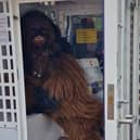 Well Wookiee here! Chewbacca falls foul of the Empire at Sci-Fi Scarborough