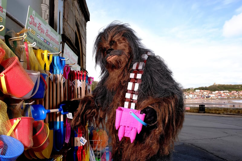 Chewbacca getting ready for the beach.