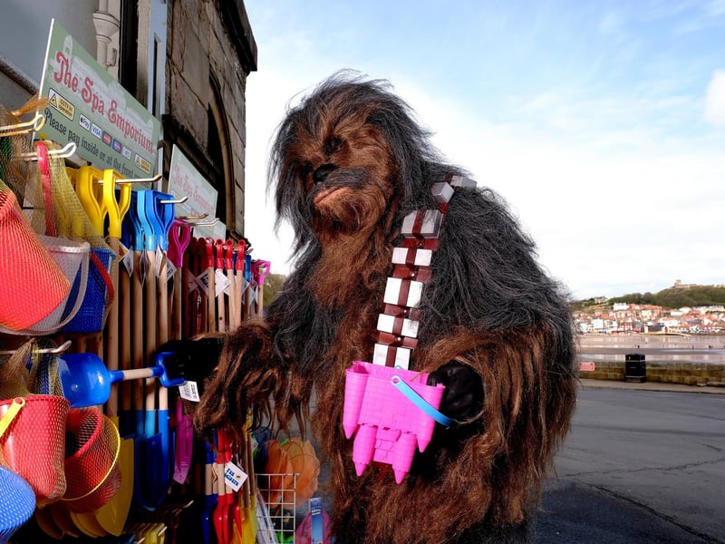 Chewbacca getting ready for the beach.