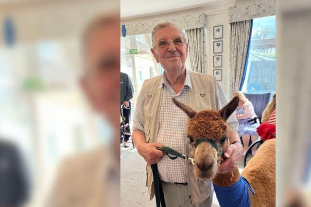The residents really enjoyed the visit from the Alpaca’s