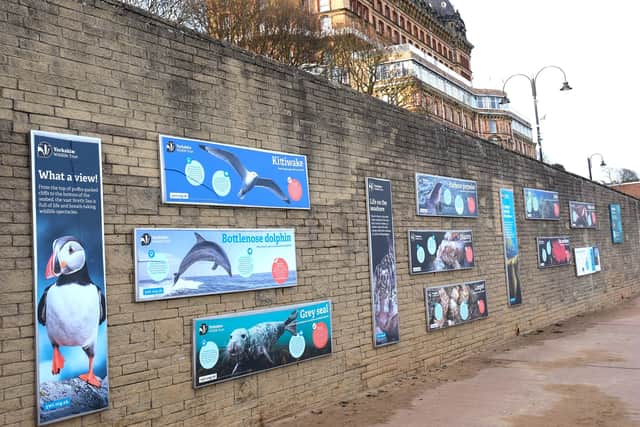 The information boards on South Bay