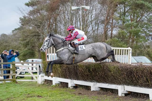 Native Nellie, ridden by Lois Teal, overhauled Apieceofthemoon and Pippa Brown on the run in for a hard fought half a length victory in the Clifton Timber Maiden. Photo by Tom Milburn Photography
