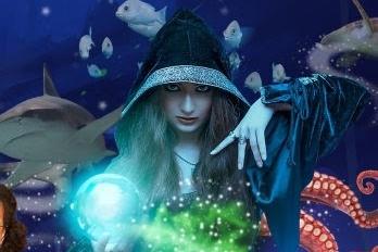 Join in the spooky fun at Scarborough SEA LIFE centre's Ascarium this Halloween! Guests can explore all the chills and thrills of the ocean, following an immersive trail to help SEA LIFE’s Sea Witch and Warlock look after their ocean home and fellow sea creatures by completing magical challenges. On from October 15 to 31.
