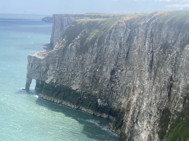 Bempton cliffs looking dramatic and beautiful.