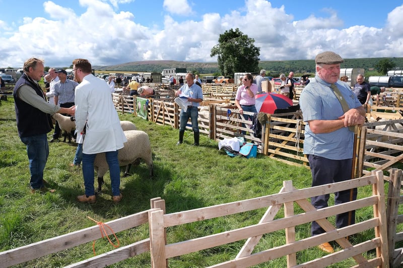 A fine day at Danby Show.
picture: Richard Ponter