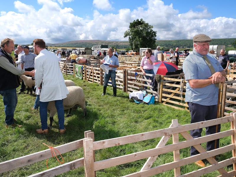 A fine day at Danby Show.
picture: Richard Ponter
