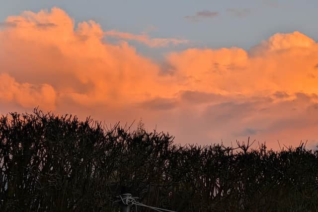 A beautiful orange sky, by Carol Jackson.