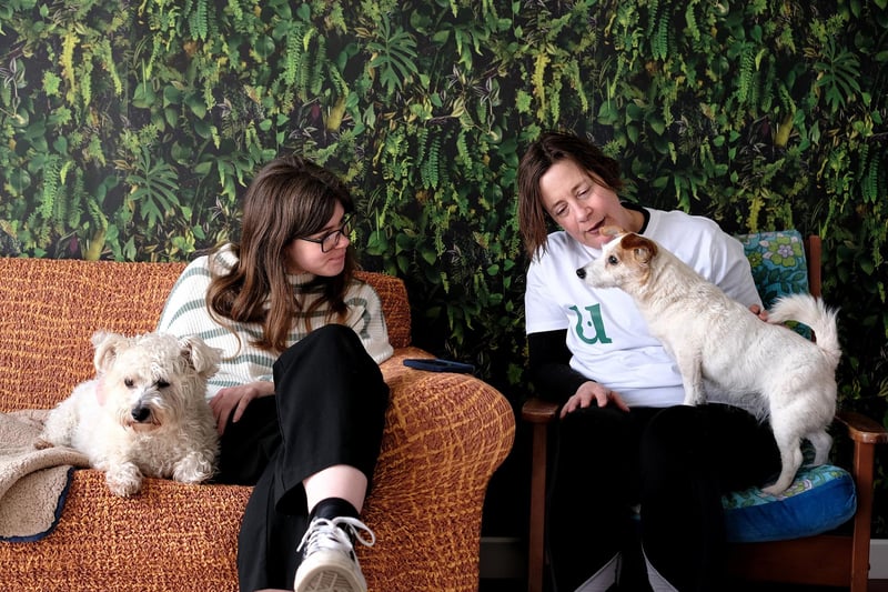 When the dogs are meant to be exploring the room, the owner will sit to the side with Laura to allow the dog to explore the space. However, Ted and Izzy wanted to explore owner Lara Dobb and reporter Louise.