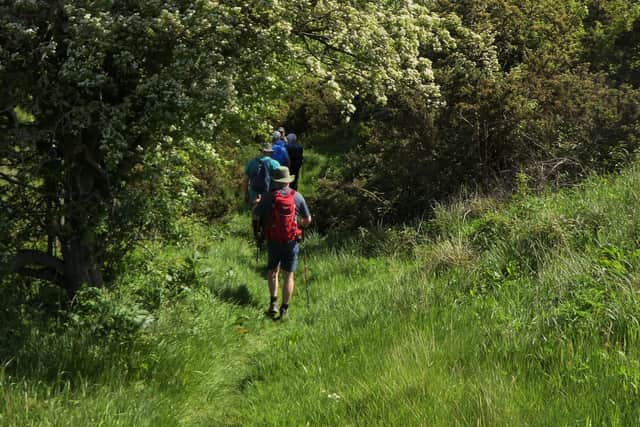 Trekking through the woods below the Flask Inn.
