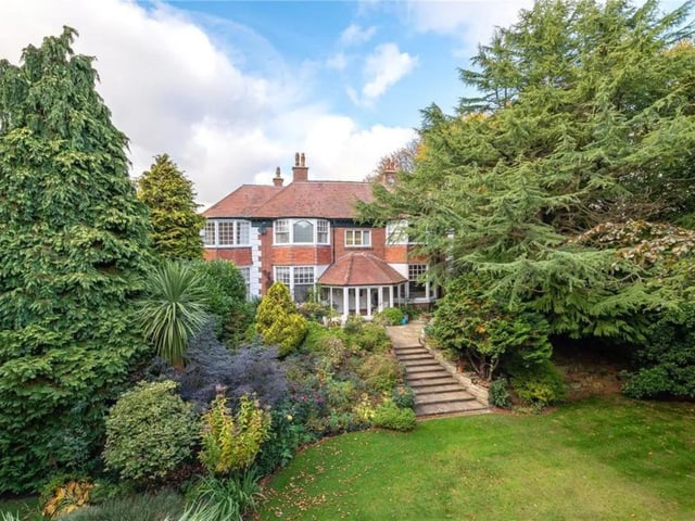 The garden is home to a sizeable collection of trees.