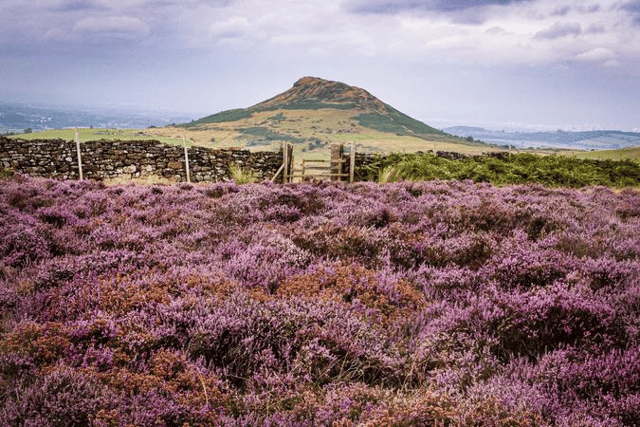 Roseberry Topping in the North York Moors. image: Tony Johnson